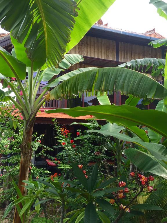 Mahogany Cottage Gili Meno Rom bilde
